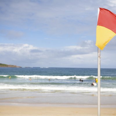 Beach flags.